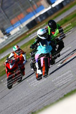 media/Jan-21-2023-Fastrack Riders (Sat) [[fcf3f88a30]]/Level 1-RDS/Session 3 Turn 6-Mountian Shot/